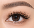 Fairy Lash